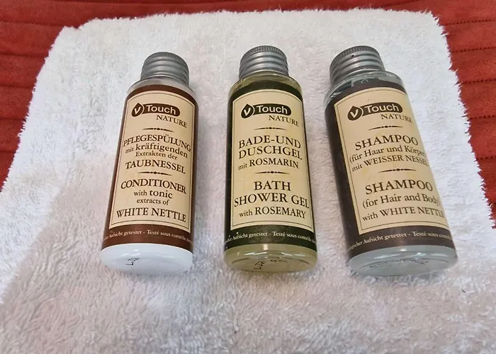 Stylish 3-bedroom With Modern Amenities Near Center